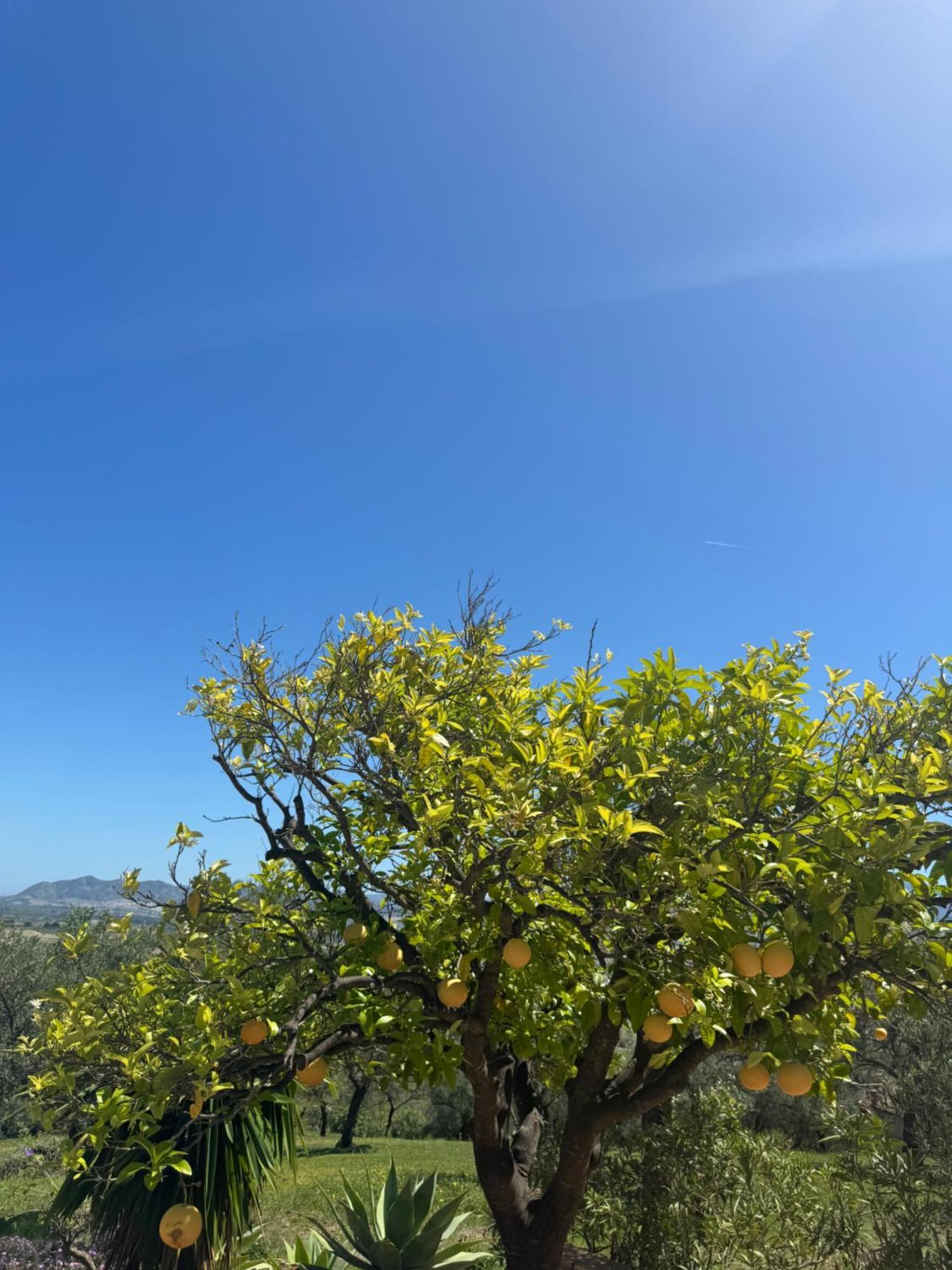 Santa Teresa Bed & Breakfast Andalusien Pizarra Ngoại thất bức ảnh